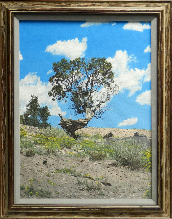 original painting by Susan Austin of the enduring Bristlecone Pine